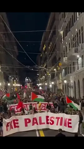 #freepalestine🇵🇸🫡♥️🤲 #freegaza #italy #protest #stop 