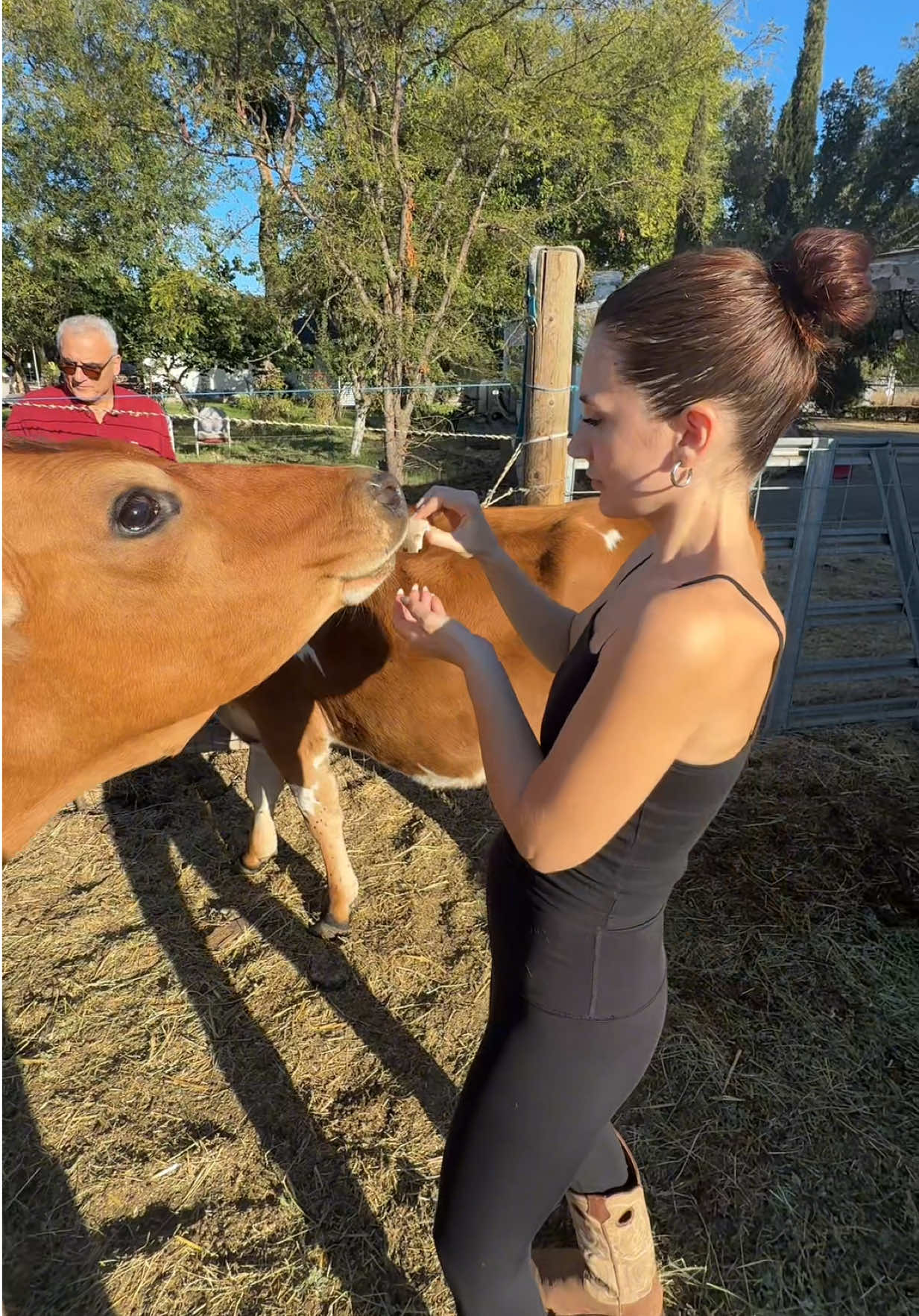 having a Persian dad means getting used to the shenanigans they pull out at unexpected times 