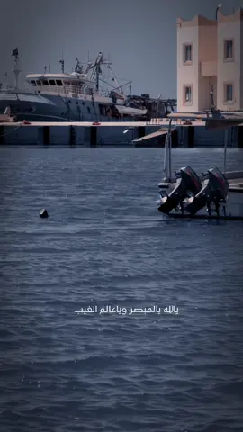 #قصايد_شعر_خواطر #بن_زويبن_غفر_الله_له 