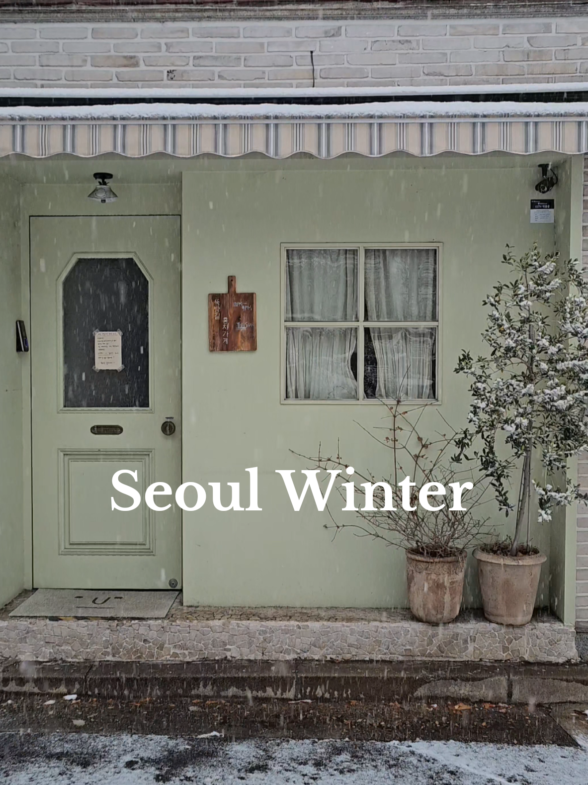 My First Snow Ever Was in Seoul 🇰🇷🫶🏻 #seoul #korea #winter #snow #exo 