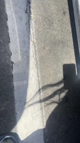 guys 🥺🥺 i found a baby kitty under a truck if anyone is able to give it a good home please text me she was under a truck covered in oil crying 😖 i looked everywhere for the momma and she’s nowhere to be found i can take care of her but i have a baby pit bull as well so i wont be able to keep her 🥺#babykitty #fyp 