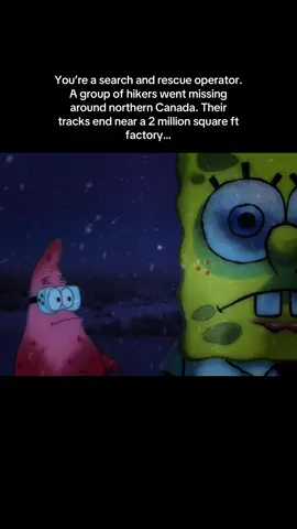 They followed the 60th parallel #schizoposting #schizo #conspiracytiktok #factory #trending 