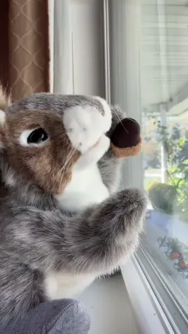 Make it move 🪩💃#fyp #makethisviral #baddie #squirrel #handpuppet 