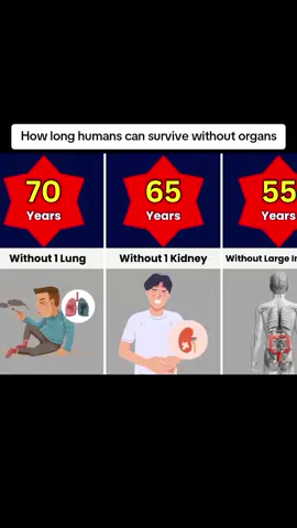 How long human survive without organs #foryou #watchdata #facts #interstingfacts #fyp 