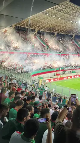 #mouloudia_virage_sud🇮🇹🙏 #مولودية🇧🇬🇧🇬_نعشق_فيهااا💚 #alger #dz #footballtiktok 