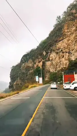 #تاج  👑 تاج 