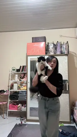 Anak gadisnya mami😍#cute #kucinglucu #catlover 