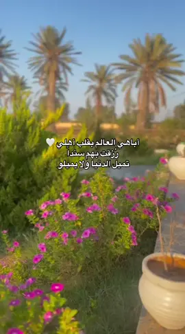 #طرابلس #الزاويه_العنقاء_ليبيا🇱🇾 #الشعب_الصيني_ماله_حل😂😂 #tiktok #القران_الكريم #your_coffee #اخواتي #foryoupage #ليبيا🇱🇾 @🩷 @SA RO 🦌💙  @7qv1_ 