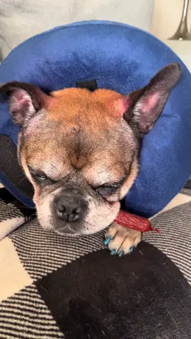 They’re my whole world 🥺💕