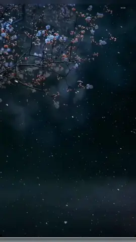 💔 Hay canciones que son como espejos… nos recuerdan lo que fuimos, lo que dolió y lo que todavía late en el alma. “Te extraño, te olvido y te amo”… una verdad que nunca deja de doler, pero que siempre nos acompaña en la memoria. 🎶✨ #clasicasdelalma💕 #clasicasdelrecuerdo #nostalgiamusical #rickymartin #clasicas 