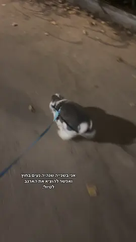 חחחח יצא לי יוני בלוך רפרנס #wlw #ילדיסנטרבוכיםבסתר #יוניבלוך #autumn #bunny 