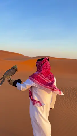 في ثَرى نجد 😴 #الرياض #نجد #البر #صقر #شاهين 