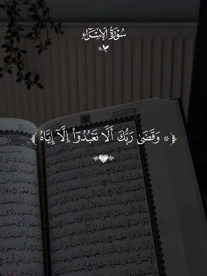 وقضى ربك الا تعبدوا الا اياه وبالوالدين🤎 #قران #احمد_العجمي #قران_كريم #تصميم_karimmohmed30 