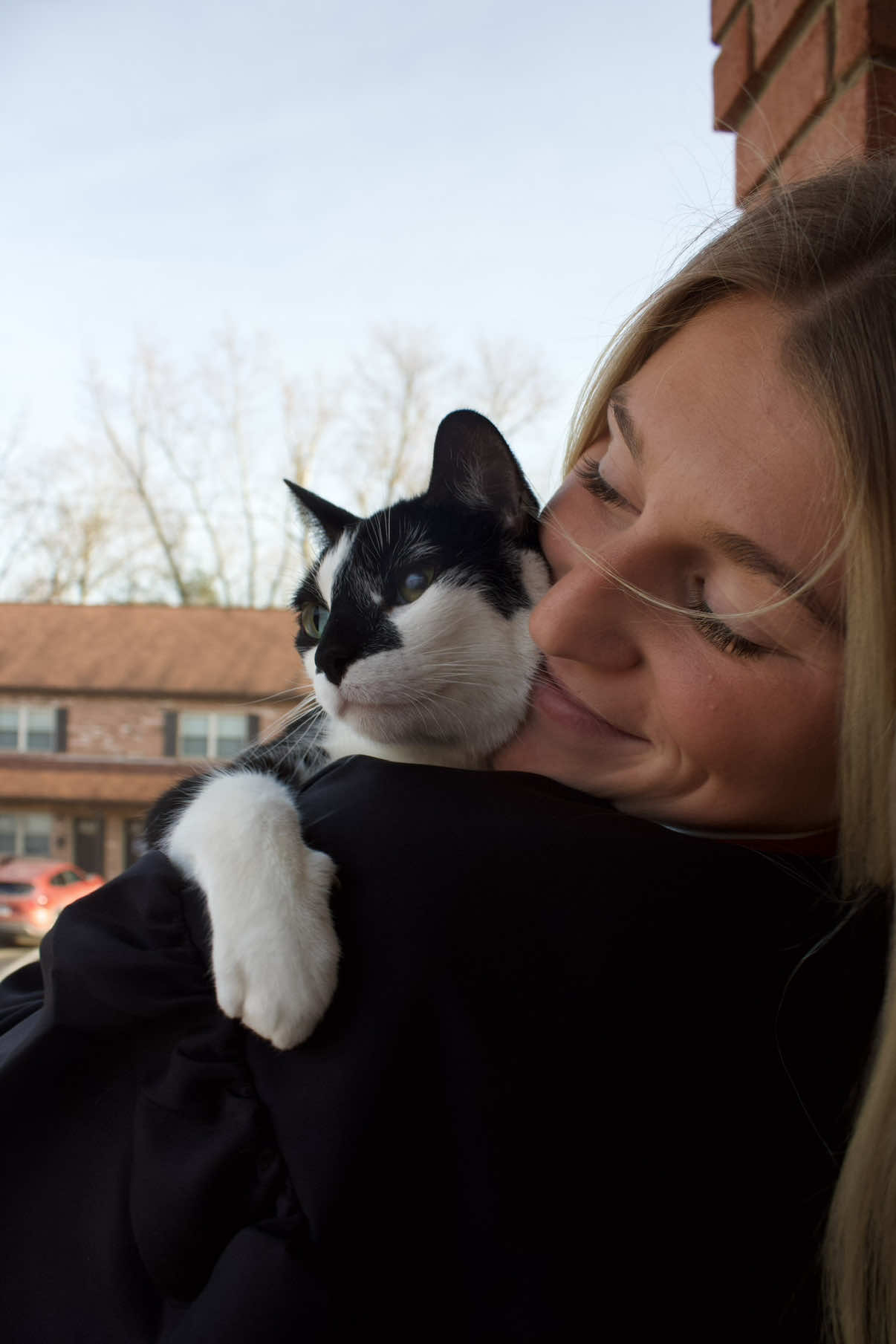yes i am a crazy cat lady #cats #catsoftiktok #loaf #cattok #loafingwithmycat 