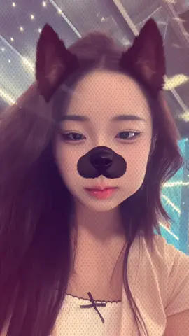 너만 보는 강아지얌