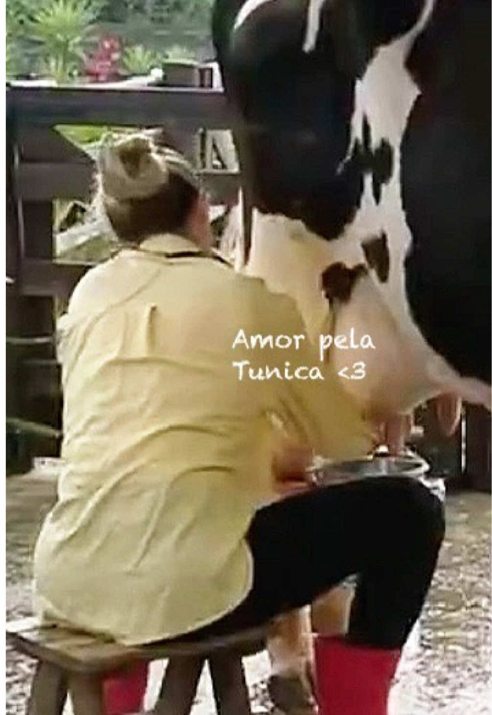 Cuidado com os animais da Fazenda! Quando o amor e a conexão pelos animais tá no sangue, não tem jeito... ❤️🐄 #AFazenda17 #viral #fy 