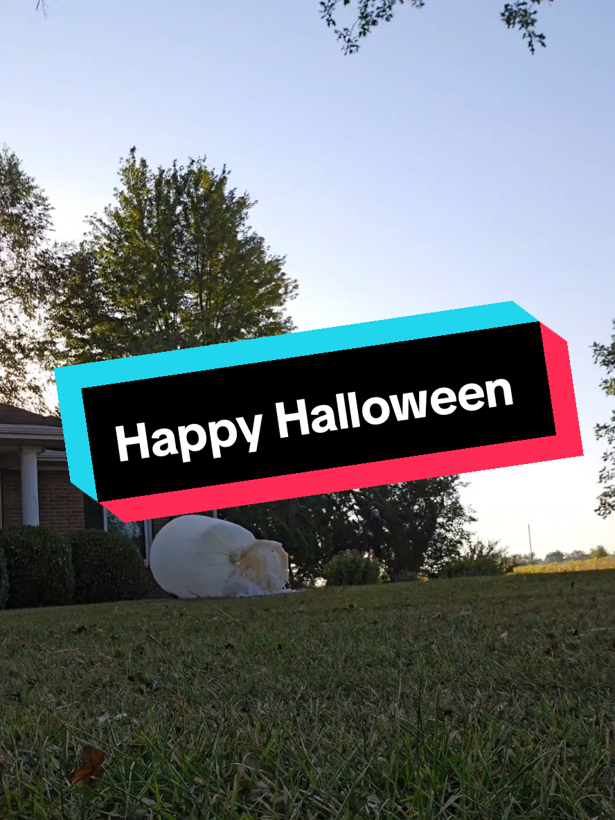 #CapCut Happy Halloween #thatslotcarguy #bearsoftiktok #halloween #happyhalloween 