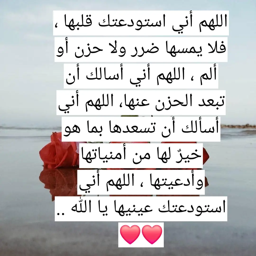 #حبيبتي_وروحي_احبك 