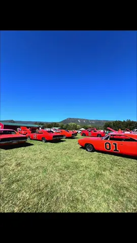 #cooters #luray #harleydavidson ##windtherapy #motorcycles so many General Lees! 