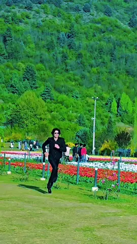 Dekha Ak Khwab to#SrBachchan #evergreen #FilmyVibes 