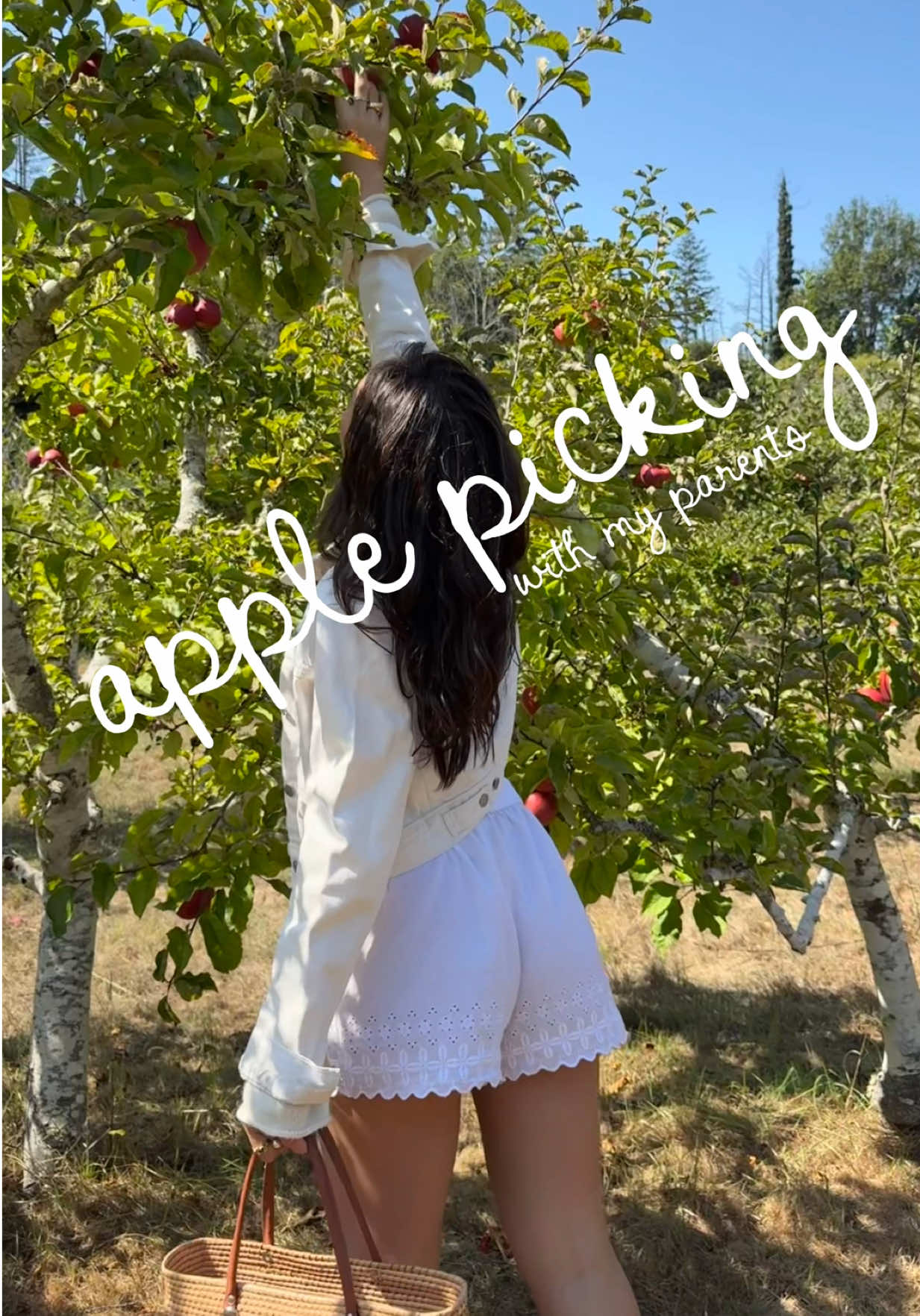bay area apple picking rec — Swanton Pacific Ranch in Davenport! 🏷️  #whimtober #october #fallactivities #bayarea 