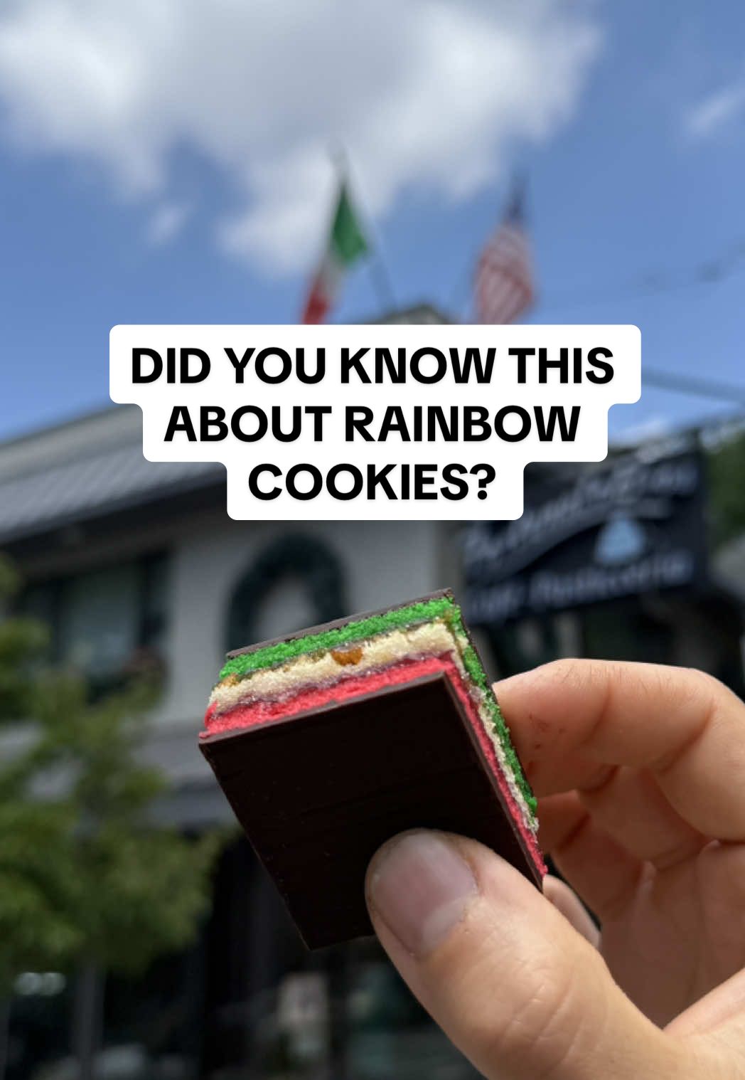 Celebrating Italian-American heritage month with @Sabrina & Giuseppe and @Fortunato Brother’s Bakery getting a history lesson on the origins of rainbow cookies. 🇮🇹🇺🇸🍪 Can you still find these in Napoli or are they mostly a New York thing? #food #newyork #italian #traditional #fyp 