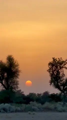 محبوب جي ياد به ڪنھن حادثي کان گھٽ ڪون هوندي آهي وڇوڙو موت مثل هوندو آهي اڻ ٿڪ بيڪراري جسماني بيمار ڪري ڇڏيندي آھي روح احتجاج ڪندو رهندو آهي متان تون سنڌوءَ جي ڇولين جيان وري موٽي اچين . . #sindhifam #beingsindhi #ناچيز 