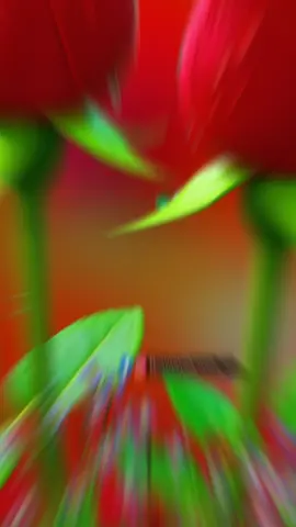 #golivetiktok 