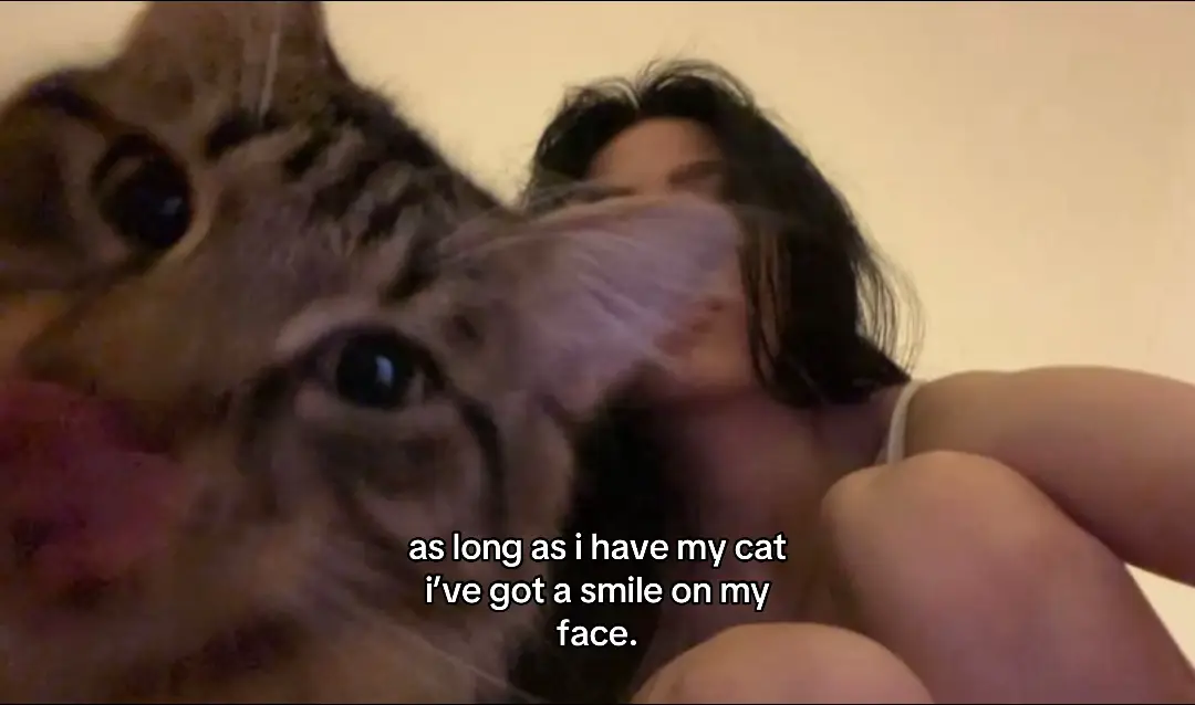#catlover #cat #cute #relatable #fyyyyyyyyyyyyyyyy 