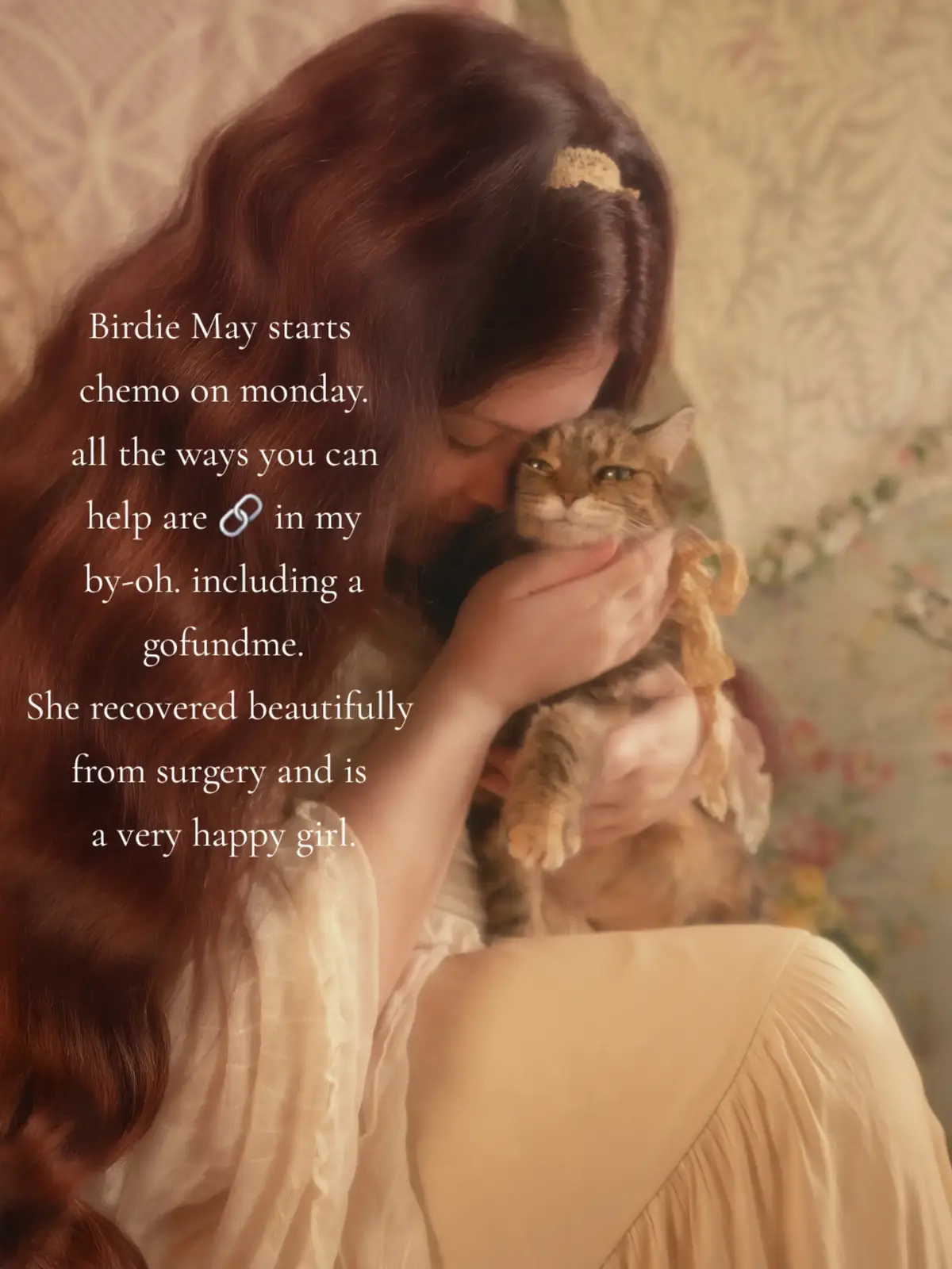 Facing losing a second soulmate cat to cancer is a hell I wish on no one. So we fight as long as she wants to. #catmom #catcancer #cathealth #catdistributionsystem 