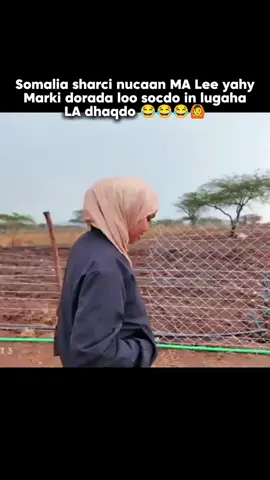 #somalitiktok #somalitiktok 