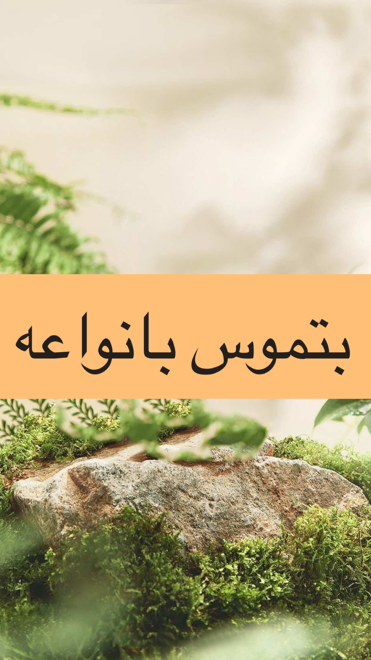 بتموس متوفر لدينا 💨 بانواعه وأحجامه 💧 بتموس مخصب ٢٥٠ لتر سعره ٦٥ الف ☀️ بنموًس العادي ٢٥٠ لتر سعره ٥٥ الف ☀️ بتموس بوتنك سويل ٧٠ لتر سعره ٢٥ الف ☀️ بتموس ٧٠ لتر سعره ١٧ الف  #تجهيزات_الجنوب_الزراعية  👇 يتوفر 👇 🌾 كافة انواع البذور 🥕 🧪ادوات واسمدة ومبيدات زراعية 🪓 استشارات زراعية 🧩 منظومات الري بالتقطير ⛲️ تتوفر خدمة توصيل للبصرة وكافة المحافظات🚕 الموقع : البصرة - سوق ابو الخصيب - نهاية سوق العطارين - محل المرحوم ابو عباس لتجهيزات زراعية رقم الهاتف ☎️: 07727578771 رقم الهاتف ☎️: 07803182225#ازهار #الجبس_الزراعي #زراعة 