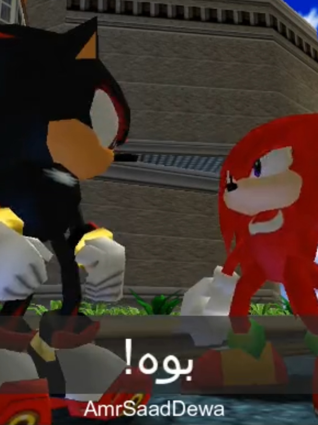 ناكلز وشادو وسوء التفاهم #ناكلز_الصعيدي #ناكلز_وهدان #ناكلز #سونيك #sonic 