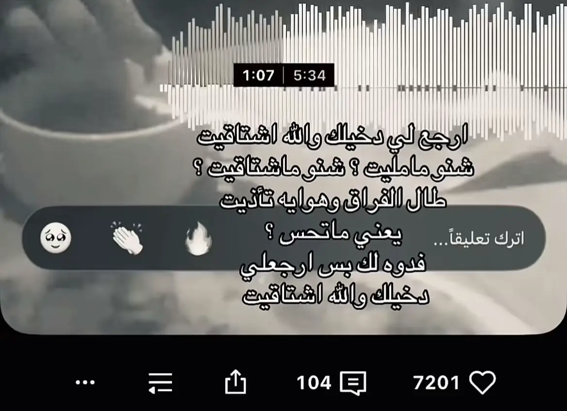 #نصر_البحار #نصرت_البدر #اغاني_مسرعه💥 #عراقي #fyp 