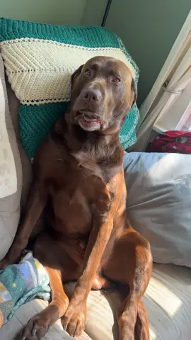 staying very still means mom can’t see today’s find 👀