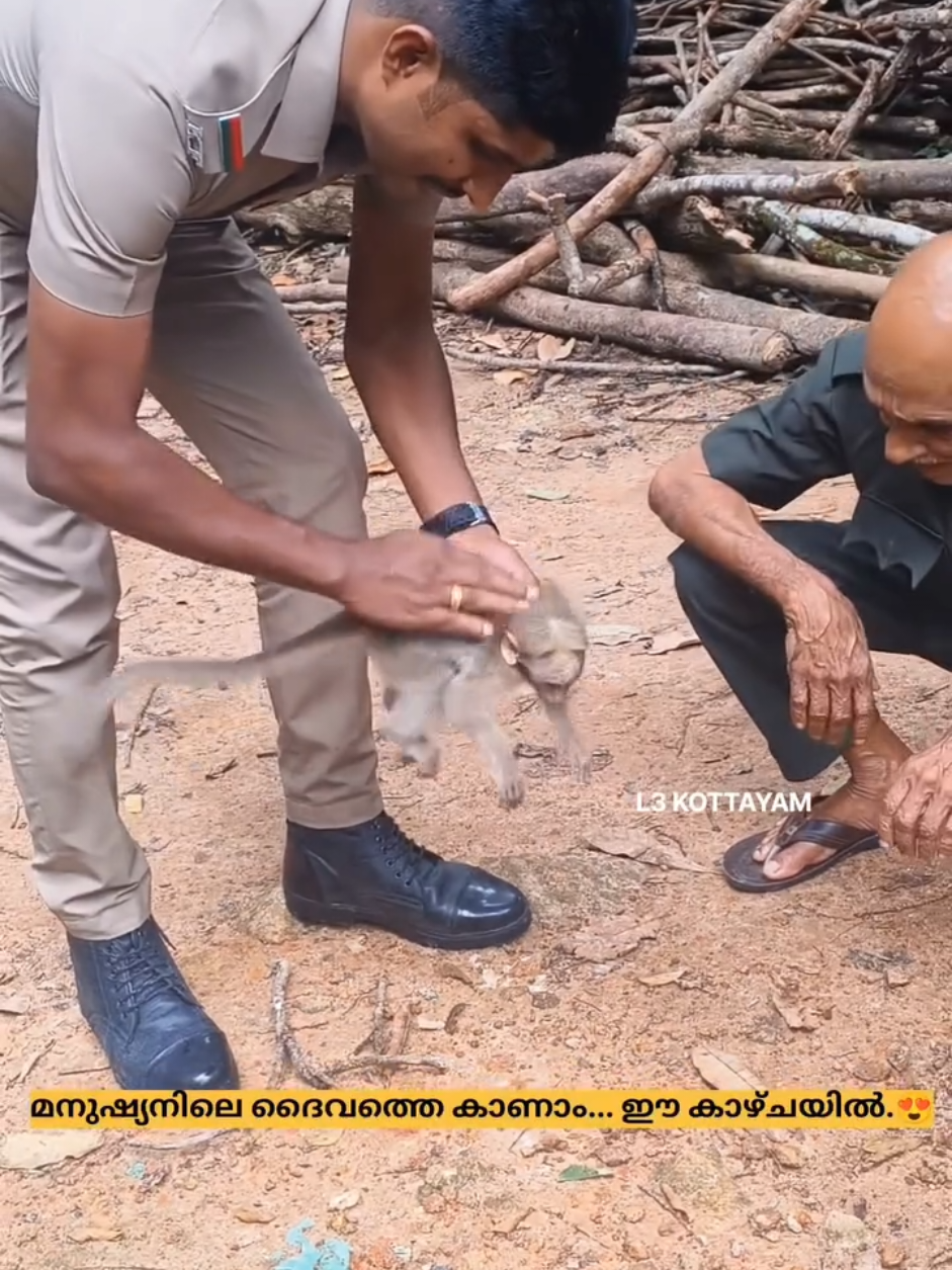 മനുഷ്യനിലെ ദൈവത്തെ കാണാം ഈ കാഴ്ചയിൽ! വൈദ്യുതി ആഘാതം ഏറ്റു വീണ കുഞ്ഞൻ കുരങ്ങിന് സിപിആർ കൊടുത്ത് വീണ്ടും ജീവൻ നൽകി ബീറ്റ് ഫോറസ്റ്റ് ഓഫീസർ — സല്യൂട്ട് ഈ ഹീറോയ്‌ക്ക് 🫡 #kerala #keralatiktok #fyp #movie #viral 