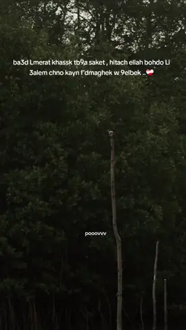 .. #fyp #casablanca #kenitra #rabat #elgrandetoto 