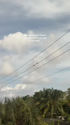 but make it high tech government surveillance birds or somethin 🐦🖤🕵🏻‍♀️