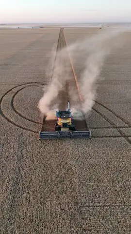 Harvest views #newholland #harvest #farming #harvest25 #cr10 #cr11 #mazergroup #farmtok #harvest25 #canola #wheat #whataview #saskatchewan #hammerdown #case #nickelback #johndeere 