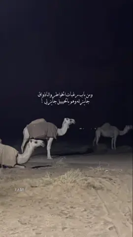 وهو بالحييييل جايزً لي 💘#لايك #foryou #fyp #اكسبلوووورررر #فولو❤️ 