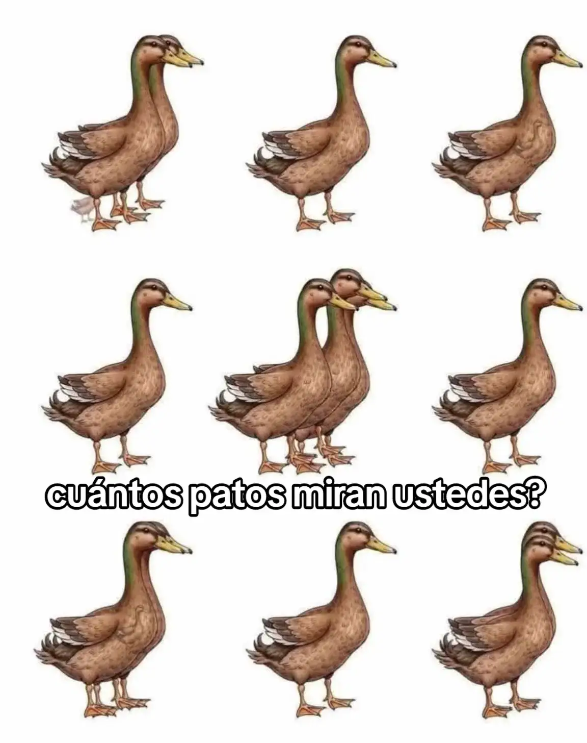 vamos los leo!!!! #videoviralitiktok #foryou #viral 