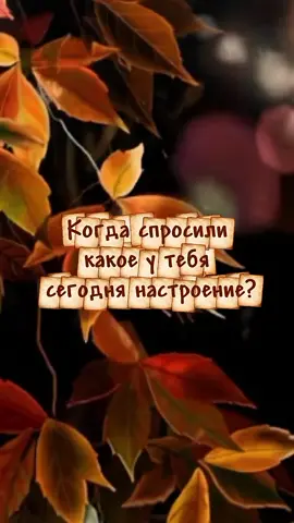 #юморист 
