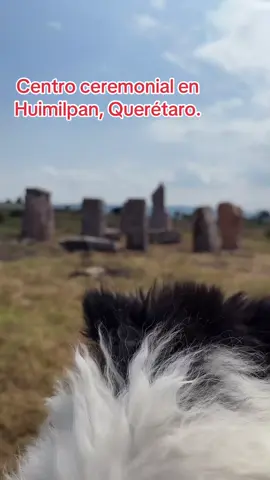 #huimilpan #tiktokers💥revolution #papatin 