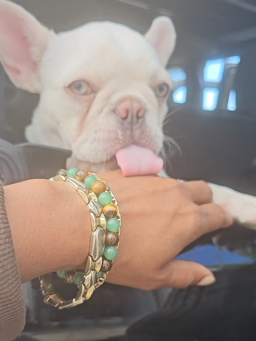 #puppylove is the purest..