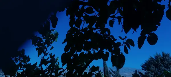 ..🤍#غريبة_الناس #وائل_جسار #fyppppppppppppppppppppppp #viral #تصويري 