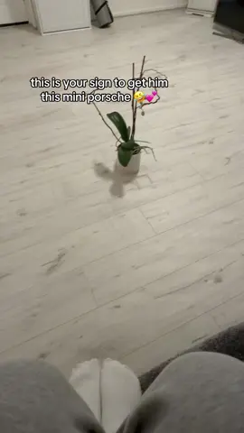 he is going to love that ❤️