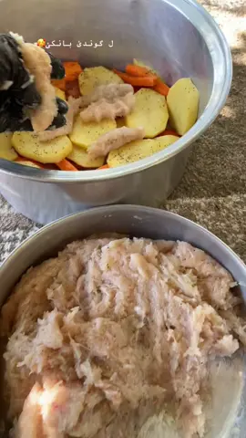 #عيراق_كوردستان_هةولير_سليماني #اربيل_دهوك_سليمانيه_زاخو__ئاکری #زاخو_دهوك_هولير_سليماني_ئاكري_سيمي #explore #الحمدالله_علی_کل_حال❤ 