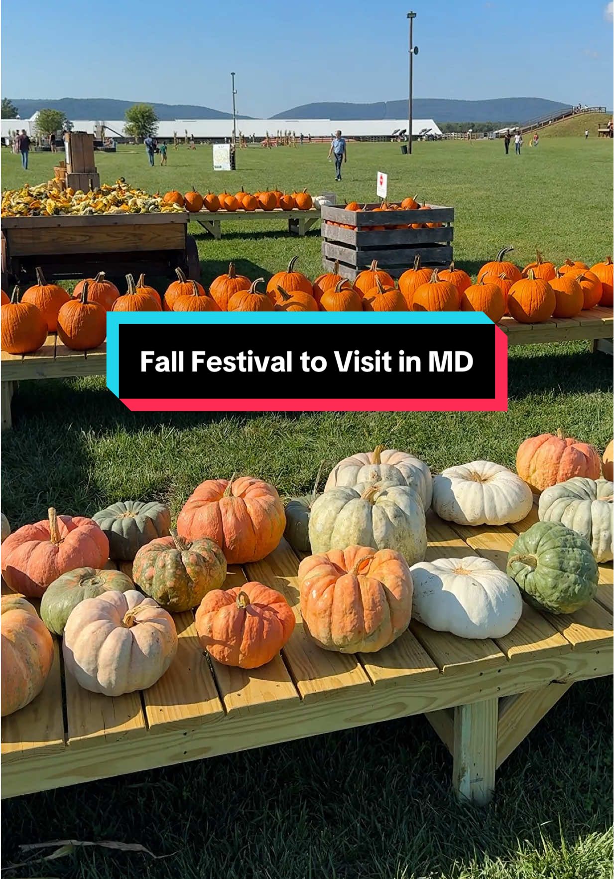 🍂 Looking for the best Fall Festival in Maryland? Head to @Magnolia Meadow Farms in Thurmont, MD for the ultimate family-friendly fall day trip 🍁 🎃 Explore Maryland’s largest corn maze, hop on hayrides, race down slides, try pedal karts, jumping pillows, mini ziplines & more — with 20+ included activities for all ages. 🔥 Add even more fun with private campfires, Apple Cannons, pick-your-own flowers, animal feed cups, and gem mining. 🌙 Don’t miss Moonlit Maze Nights on Oct 11 & 25 for a magical after-dark maze experience under the stars. 🎟️ Use code EMILY on their website for $2 off per ticket! 📅 Fall 2025 Season: Sept 27 – Nov 2 📍 13001 Creagerstown Rd, Thurmont, MD Perfect for fall bucket lists, day trips from Washington, DC, family outings, and autumn adventures in Maryland. . #MagnoliaMeadowFarms #MarylandFallFestival #MarylandCornMaze #DMVDayTrips #FallActivitiesMaryland
