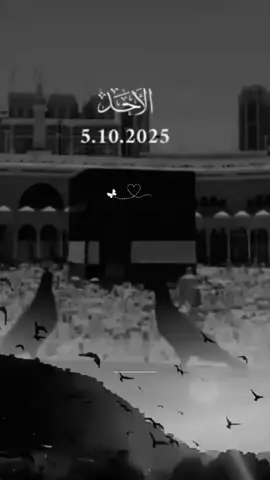 #اللهم_امين_يارب_العالمين🤲🙏🥺 #fyp 