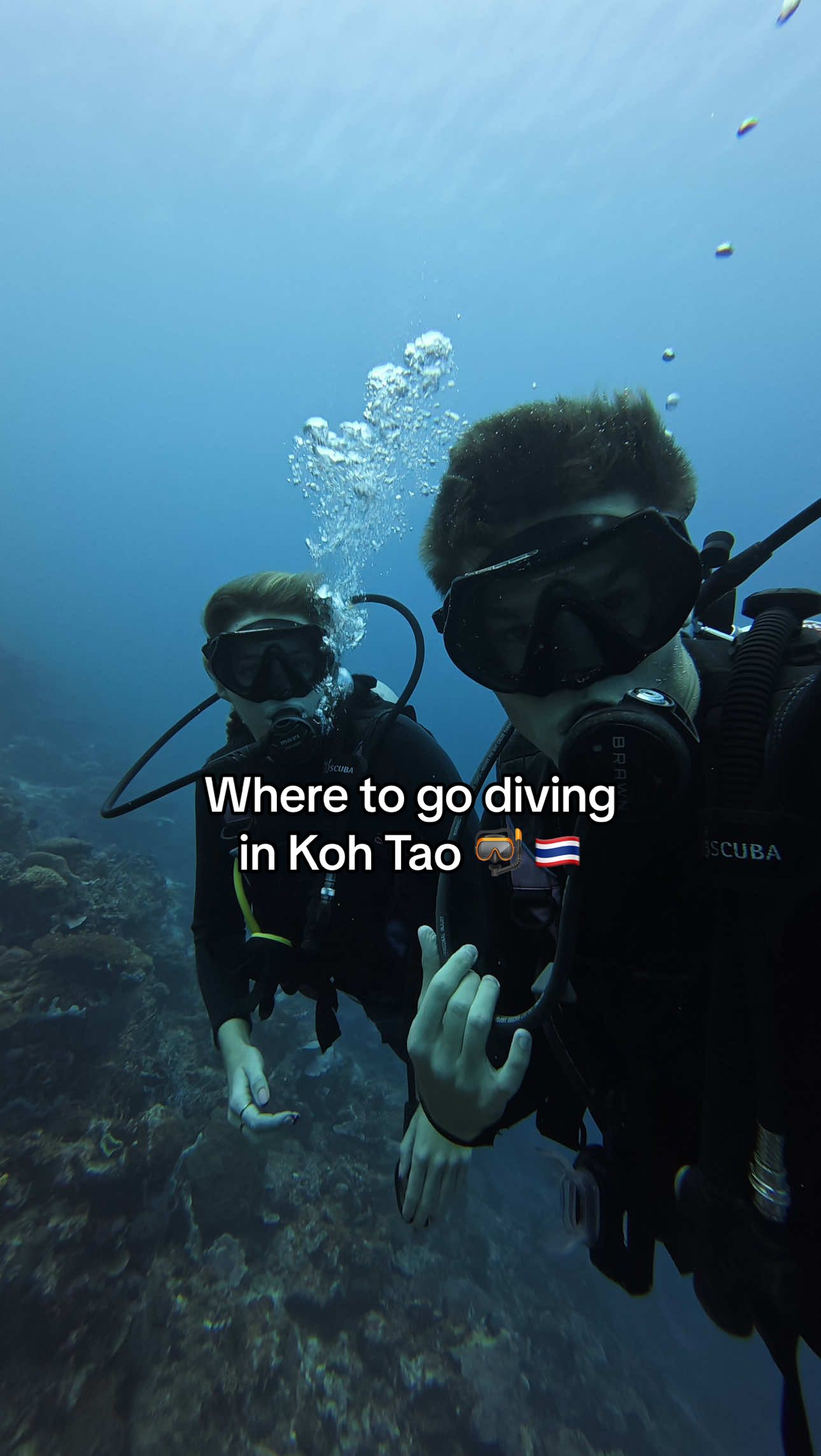 How to save some money on your open water scuba diving certification in Koh Tao, Thailand 🤿 🇹🇭 #backpacking #southeastasia #travelasia #thailand #kohtao 